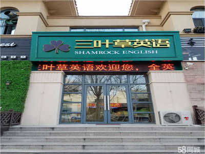 淄博三葉草教育咨詢(xún) 專(zhuān)業(yè)服務(wù)助力成長(zhǎng)之路